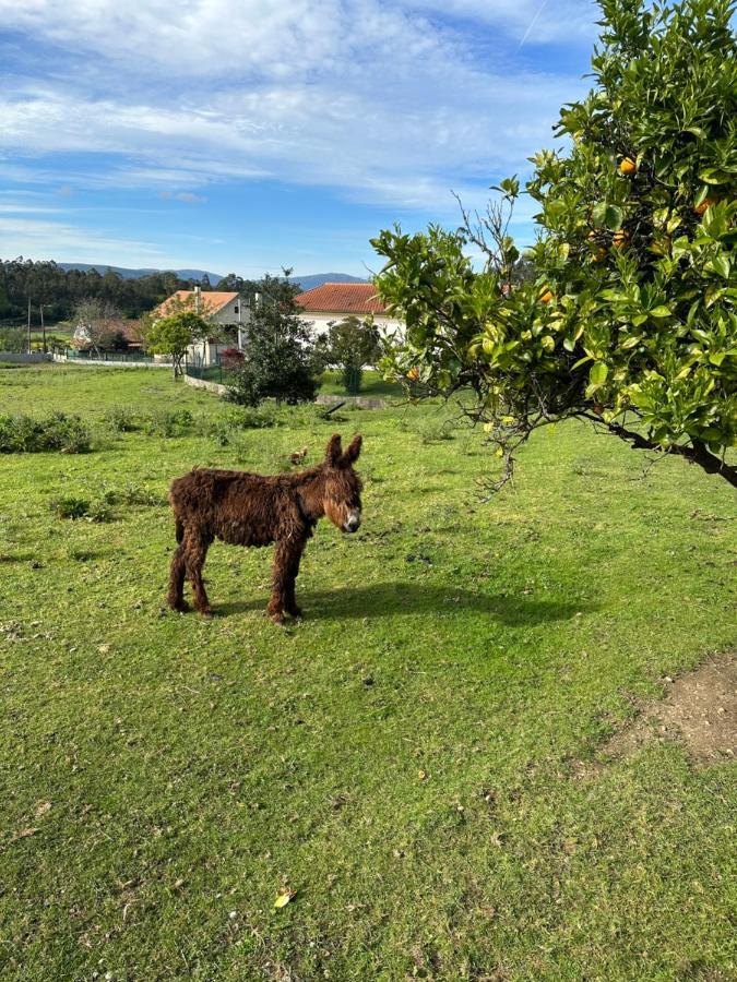 Quintinha Do Martins Lägenhet Reboreda Exteriör bild