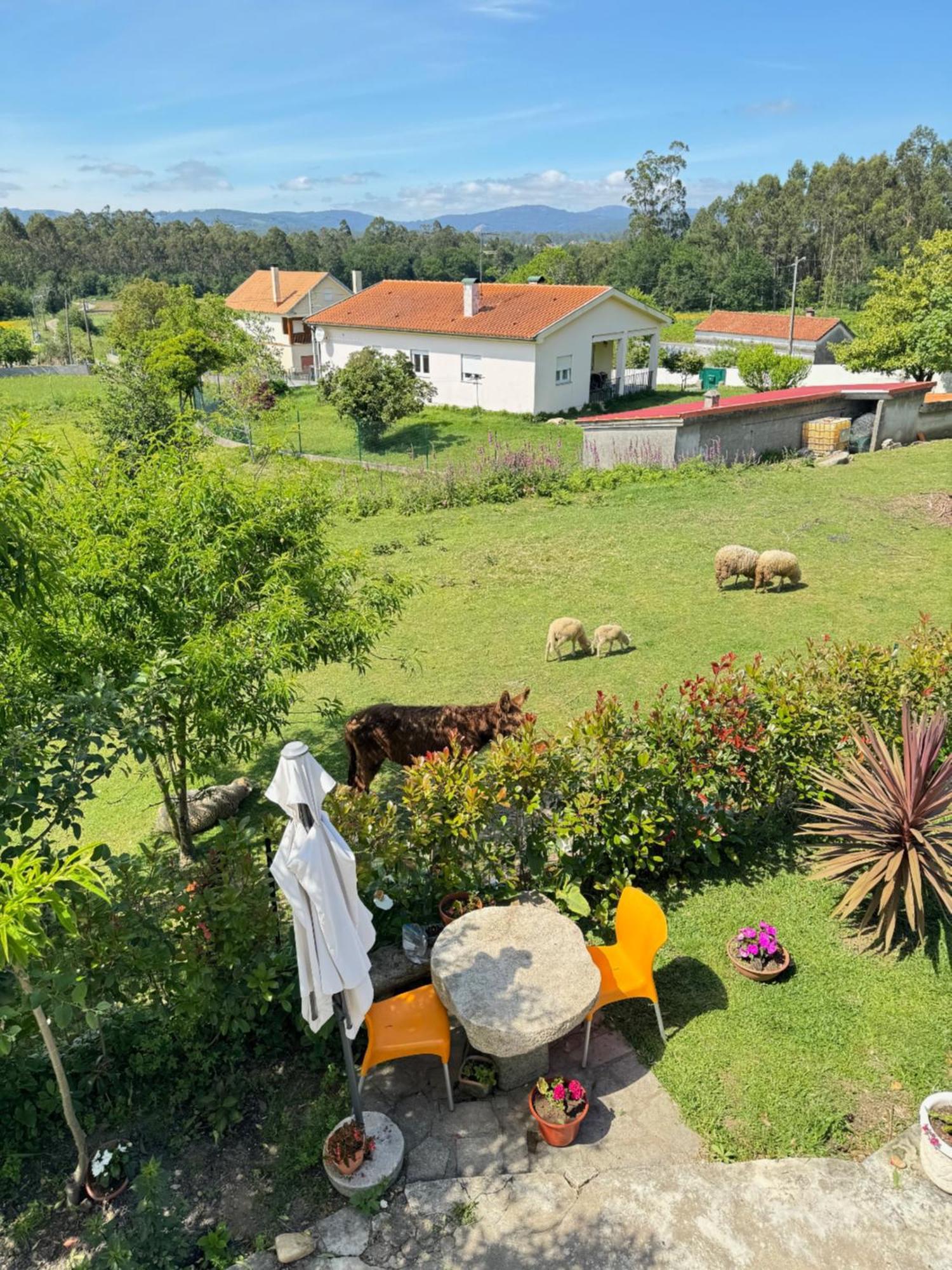 Quintinha Do Martins Lägenhet Reboreda Exteriör bild